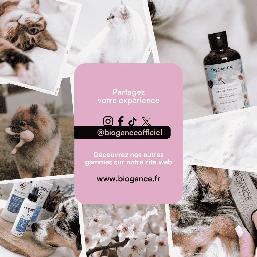 biogance-gliss-liss-spray-d-m-lant-jojoba-chat-et-chien-poils-longs image 5