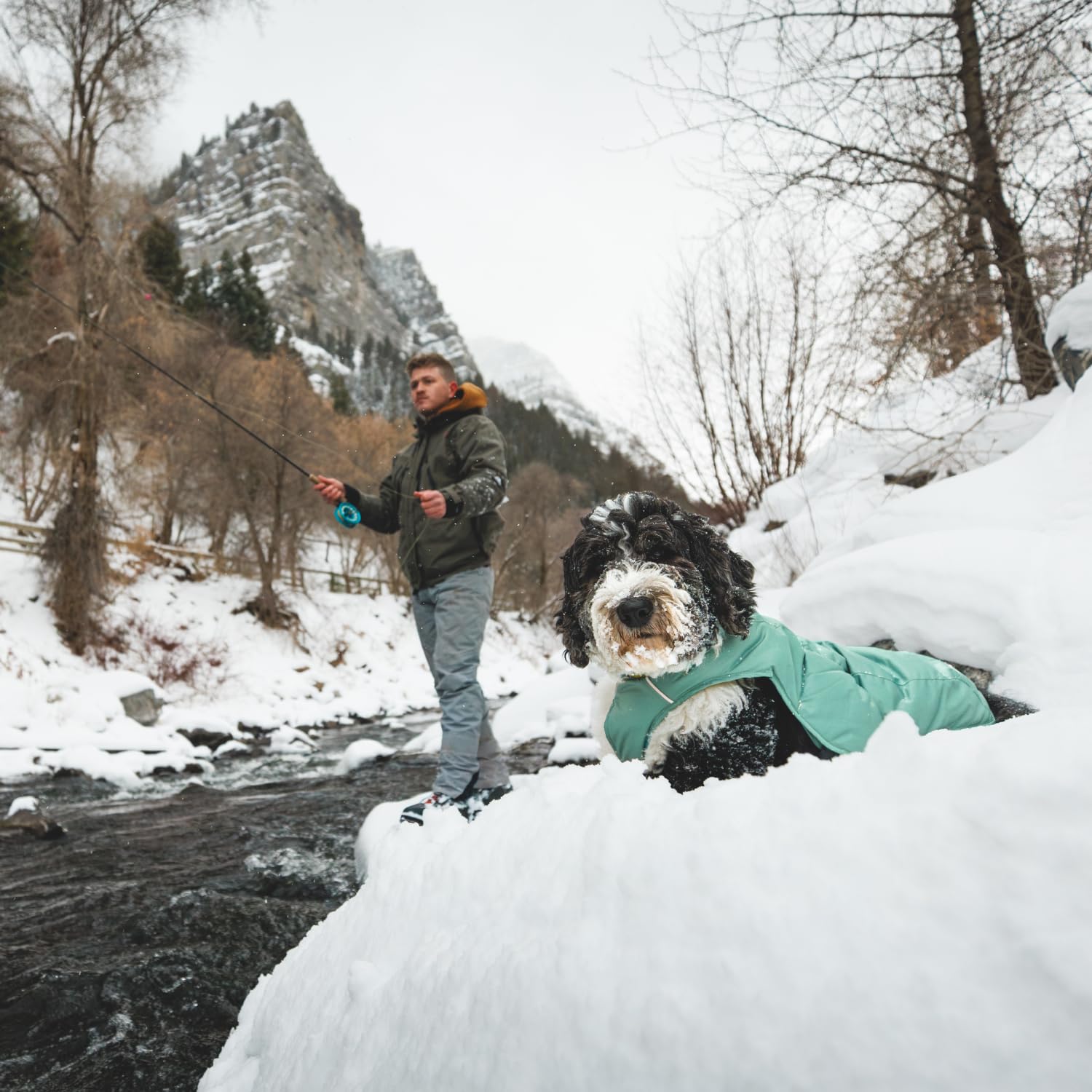 ruffwear-quinzee-veste-d-hiver-isolante-pour-chien image 5