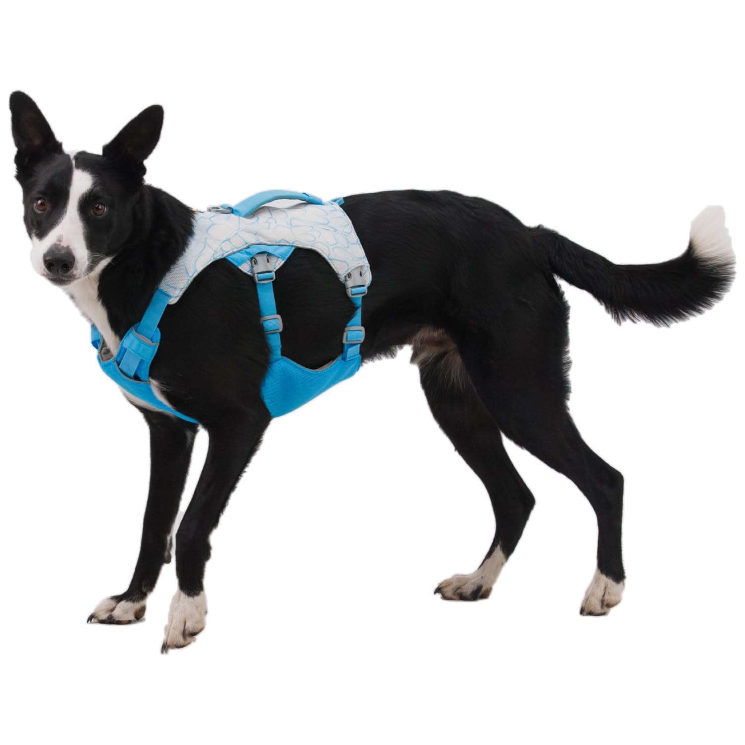 ruffwear-swamp-cooler-harnais-rafra-chissant-chien-biolumin-blue-xx-small-33-43- image 6