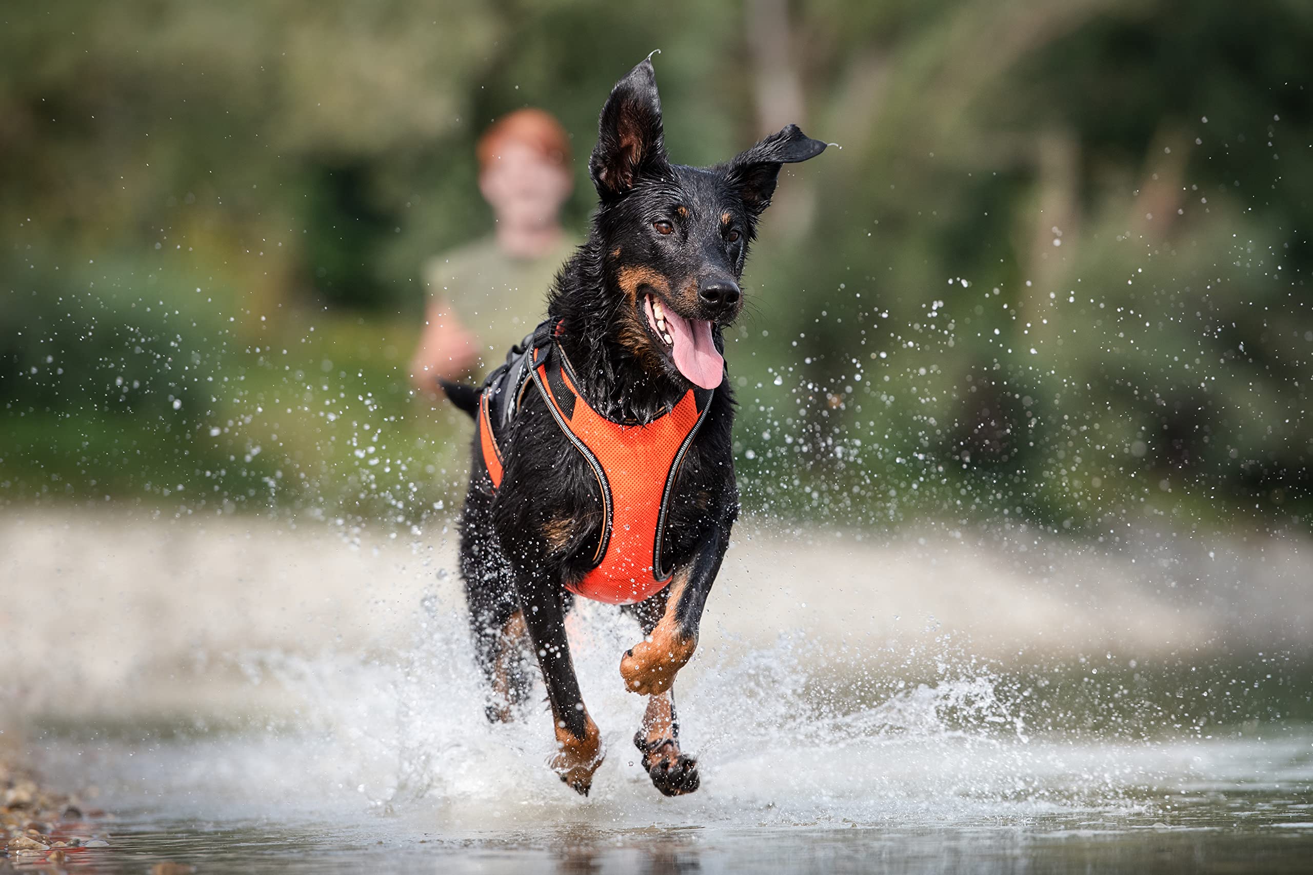 julius-k9-jk9-multivest-manteau-4-en-1-taille-l-orange-fluo image 4