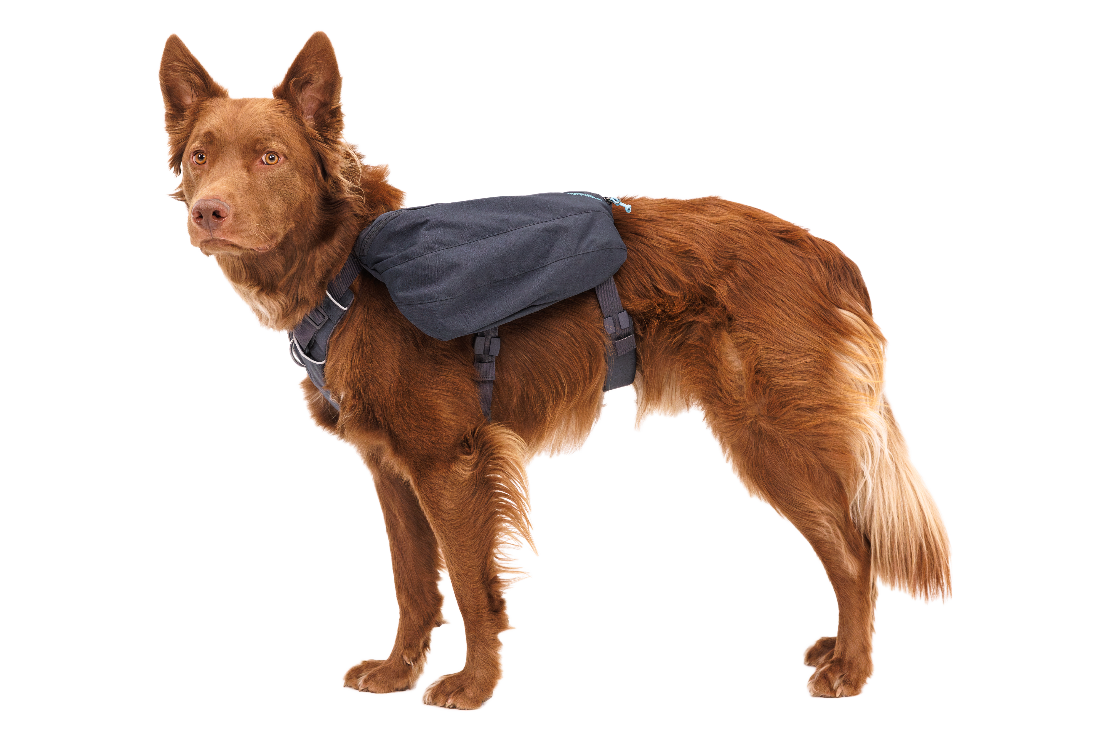 ruffwear-front-range-day-pack-sac-dos-pour-chien image 3