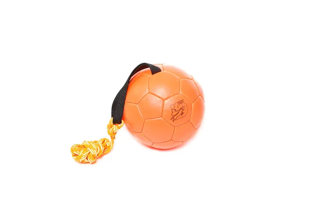 julius-k9-balle-d-entra-nement-show-170-mm-orange image 1
