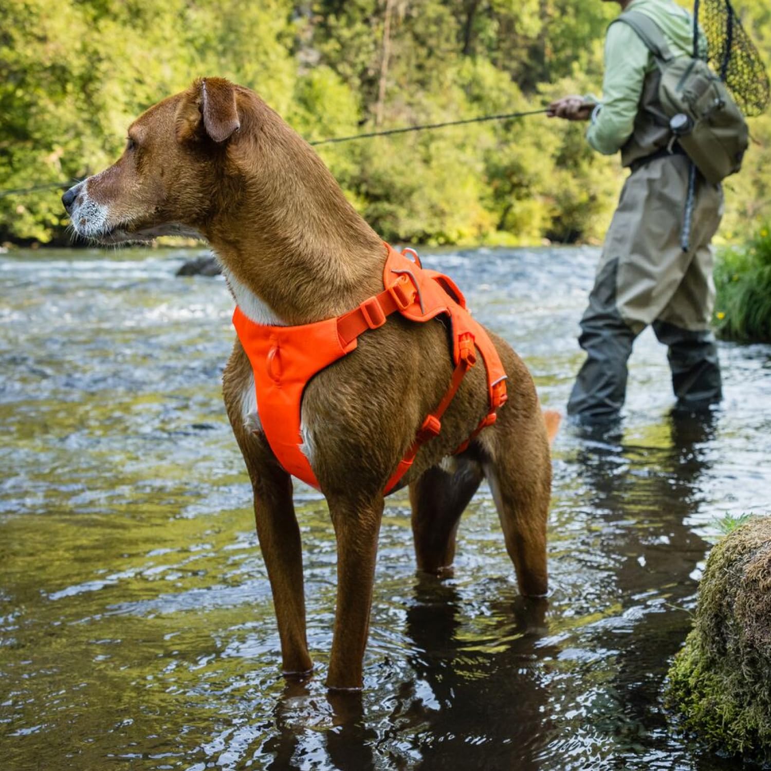 ruffwear-web-master-harnais-anti-fuite-chien-blaze-orange-s image 6