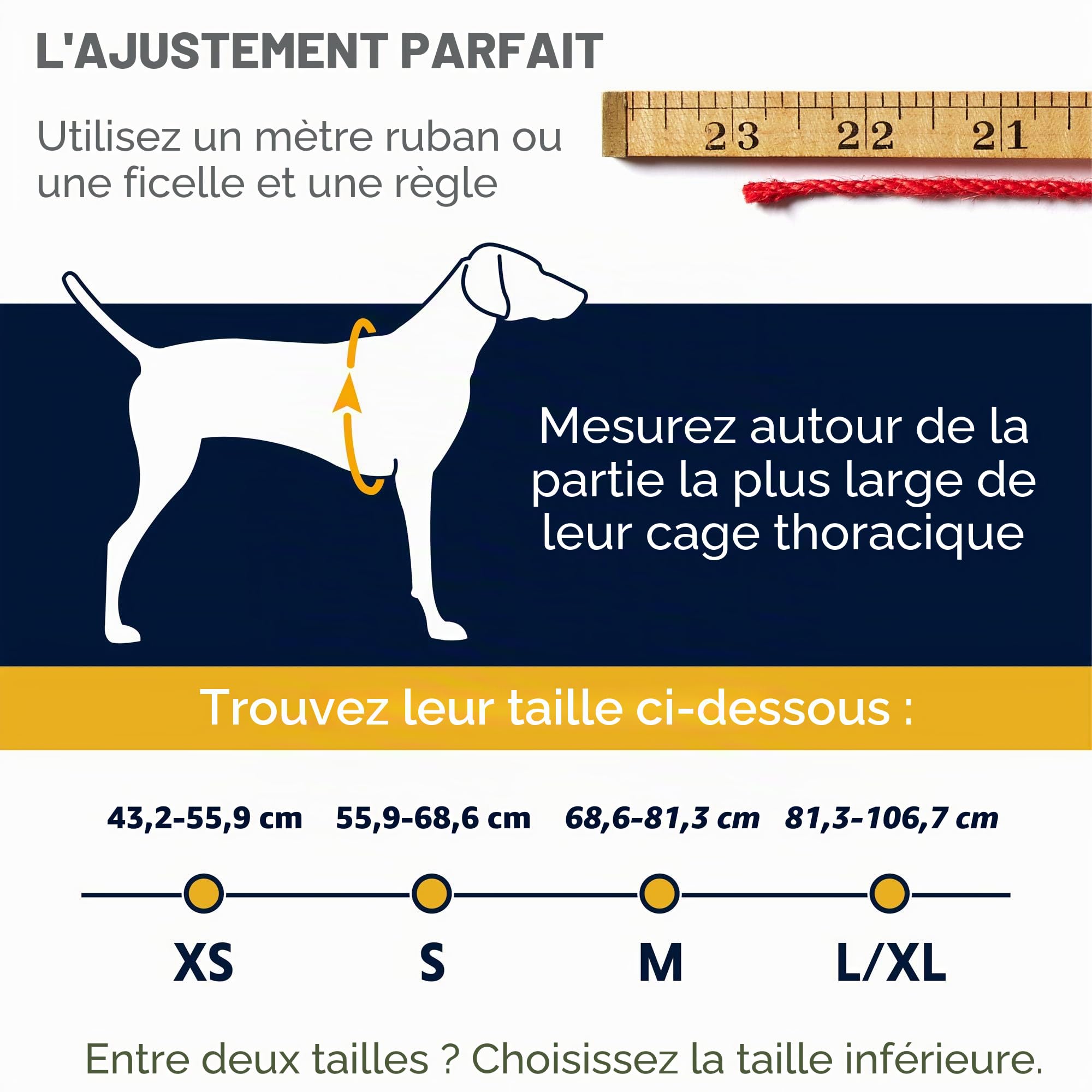 ruffwear-doubleback-harnais-d-escalade-pour-chien-taille-s-gris-cloudburst-grey image 2