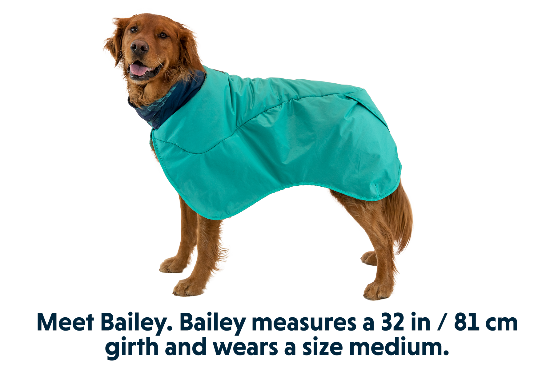 ruffwear-dirtbag-serviette-manteau-s-chage-chien image 2