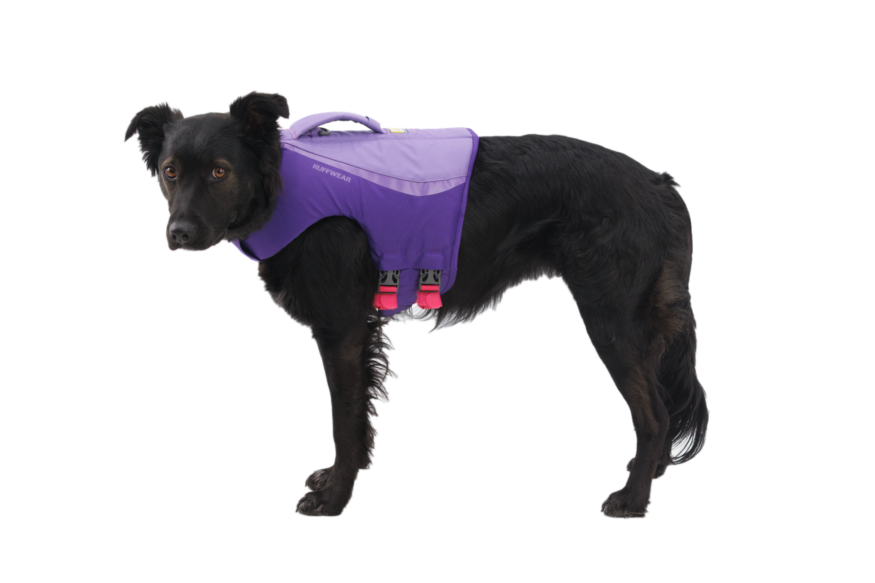 ruffwear-float-coat-gilet-de-flottaison-sauvetage-pour-chien image 8