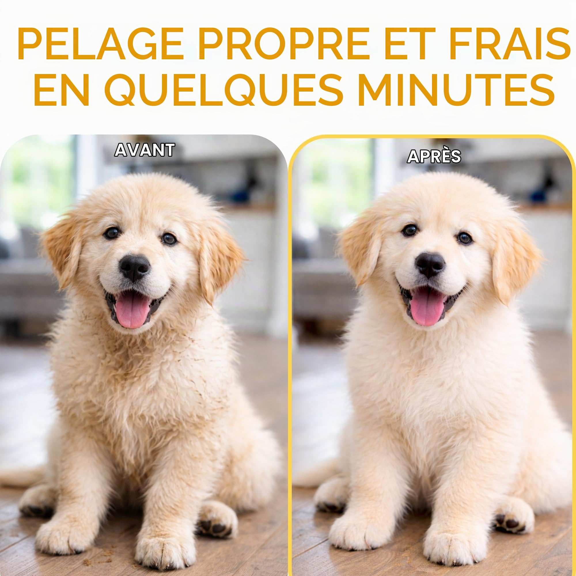 biogance-puppy-clean-lotion-sans-rin-age-chiot-alo-v-ra image 2