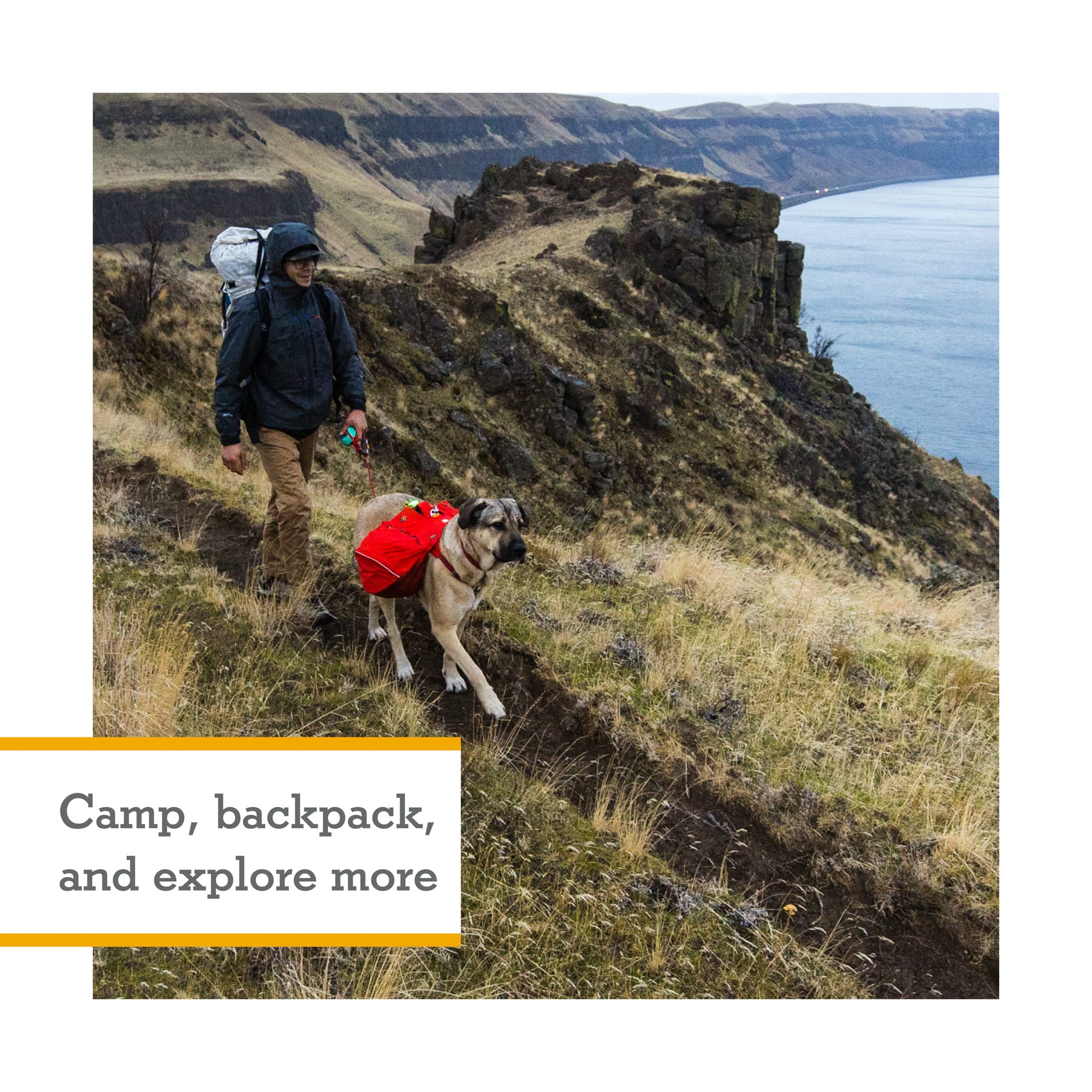 ruffwear-palisades-pack-sac-dos-de-randonn-e-pour-chien image 2