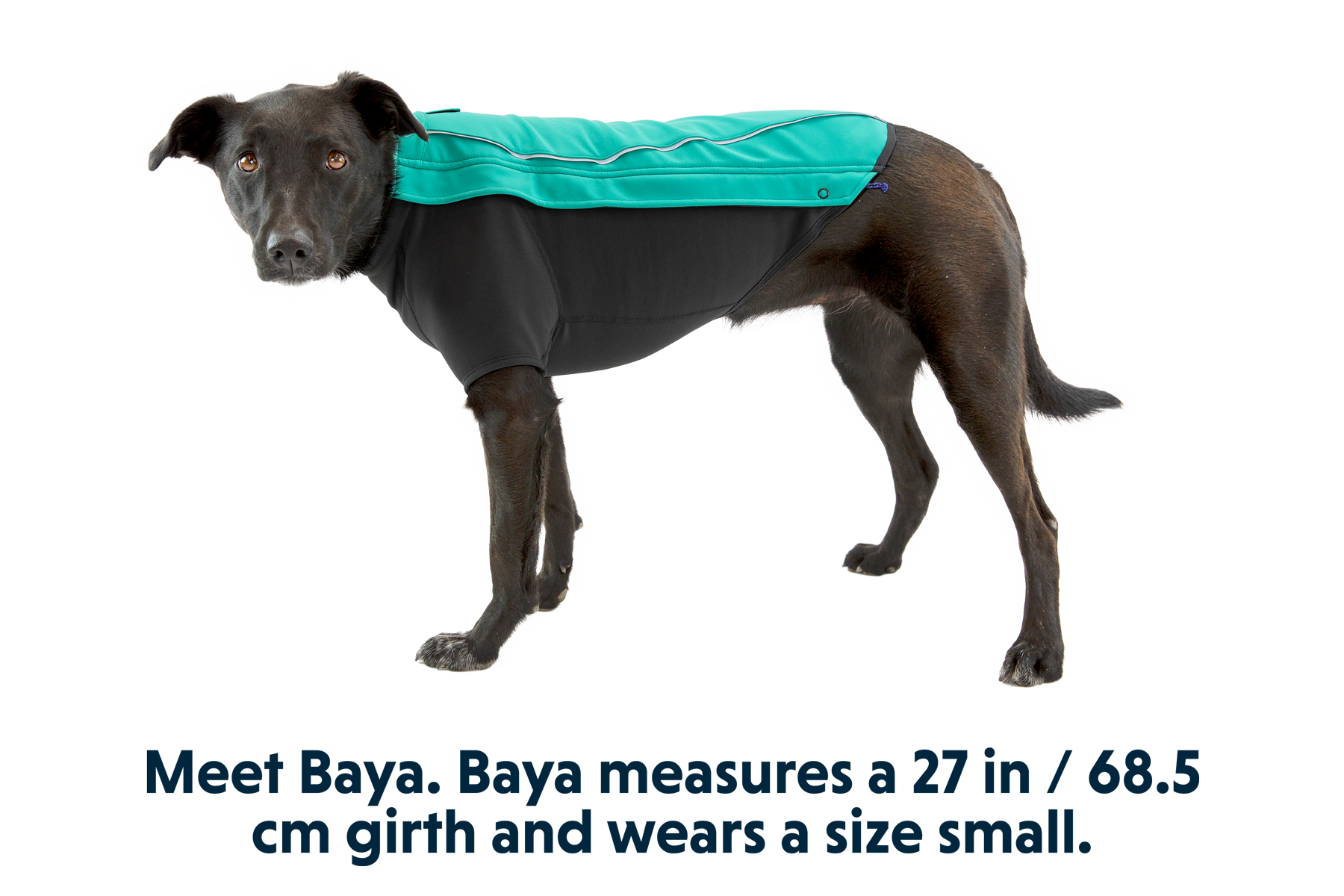 ruffwear-cloud-chaser-manteau-imperm-able-pour-chien image 3