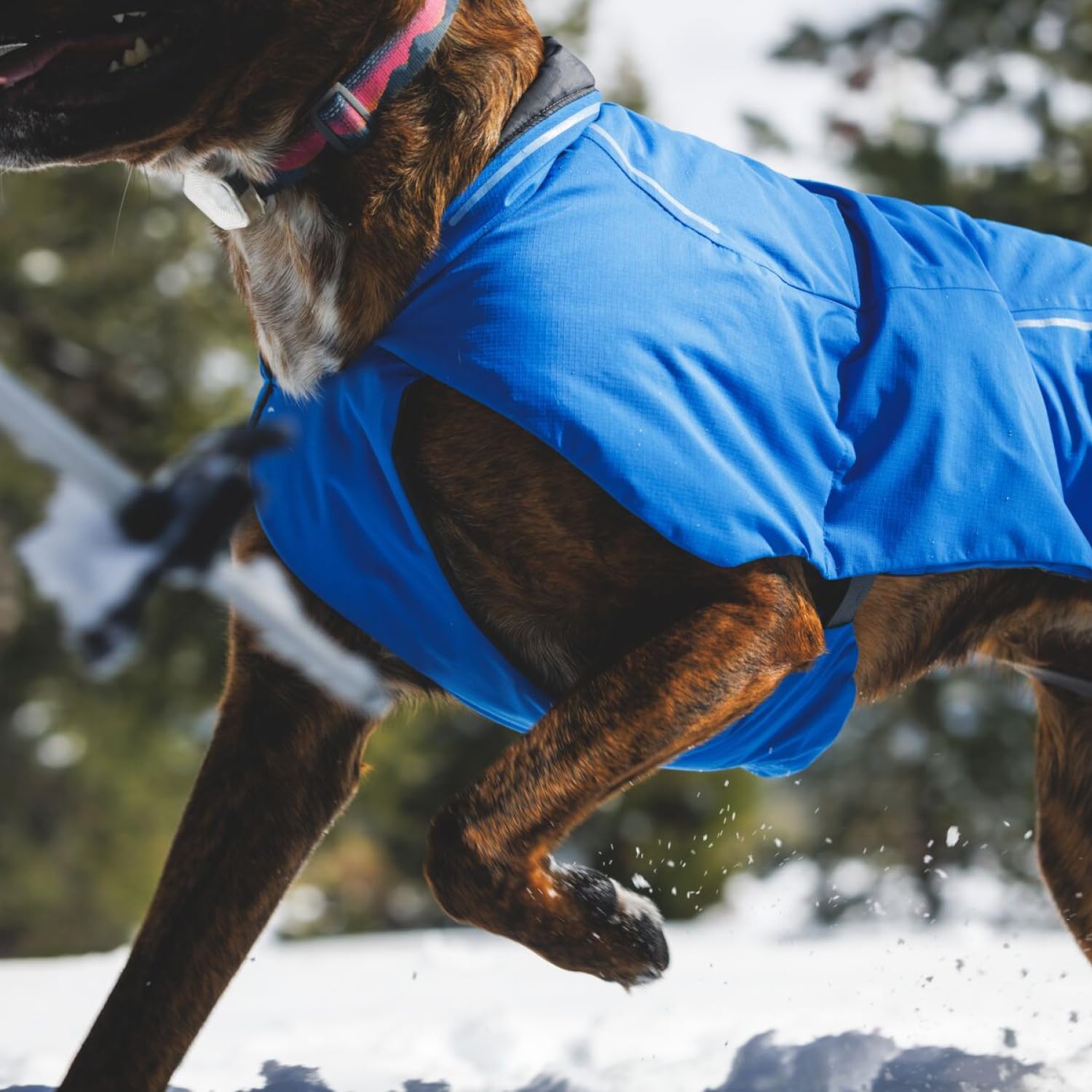 ruffwear-vert-veste-imperm-able-d-hiver-pour-chien-vert image 7