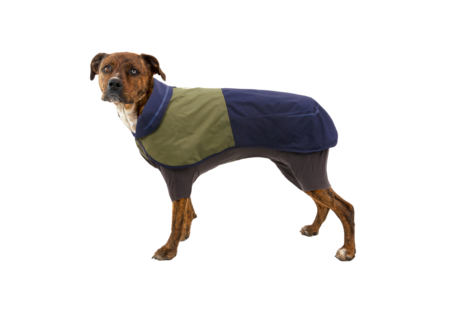ruffwear-sun-shower-combinaison-pluie-chien-int-grale-imperm-able image 2