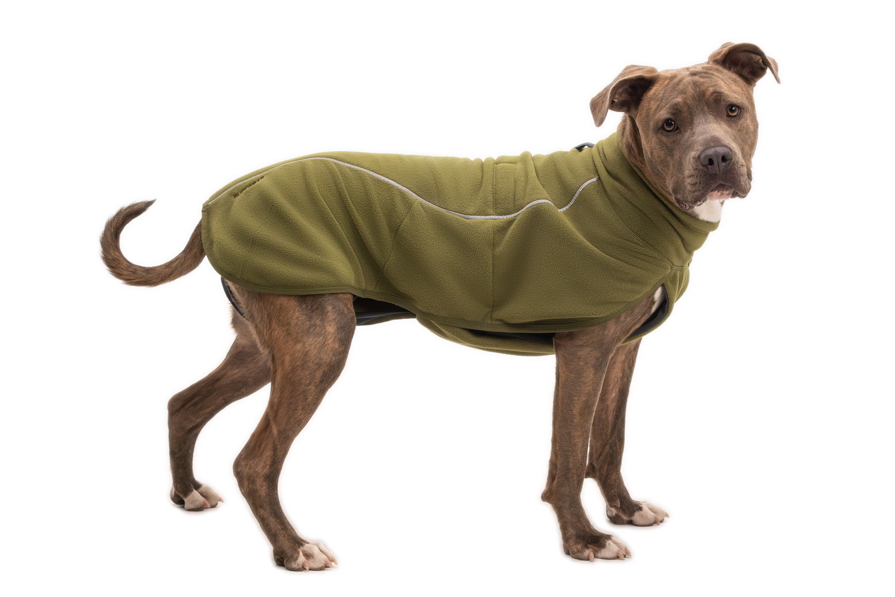 ruffwear-climate-changer-gilet-polaire-pour-chien image 3