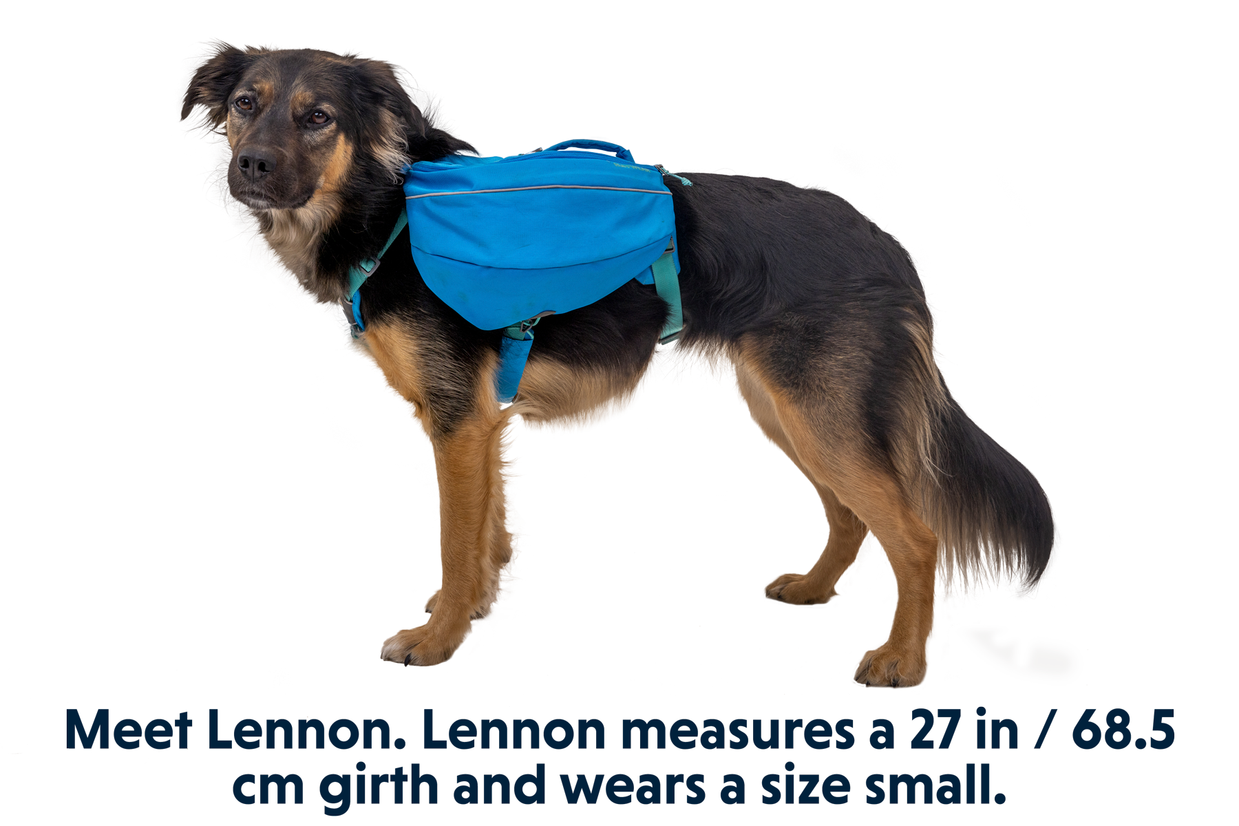 ruffwear-approach-sac-dos-pour-chien-randonn-e-jour-et-bivouac-l-ger image 3