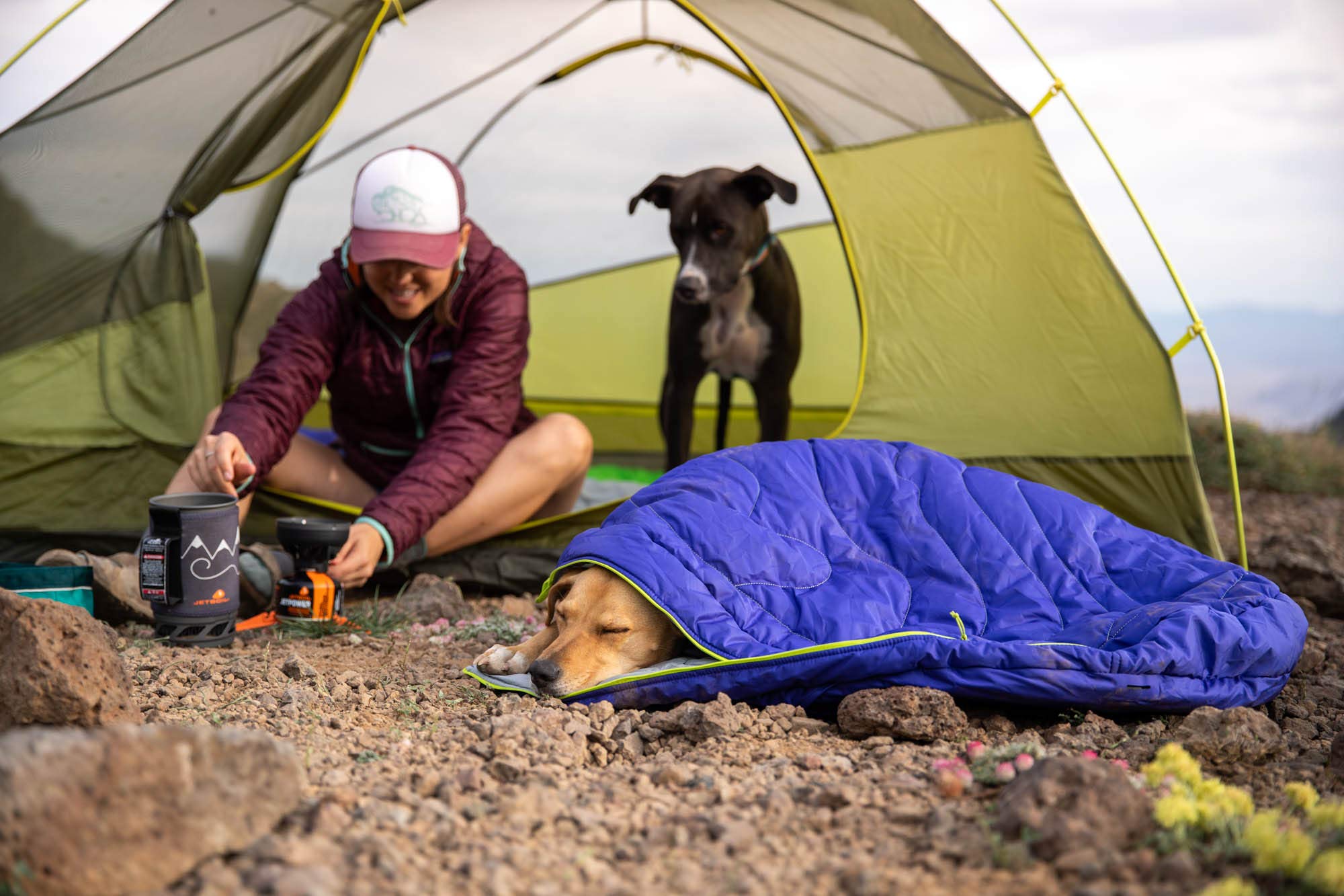 ruffwear-highlands-sac-de-couchage-pour-chien image 7