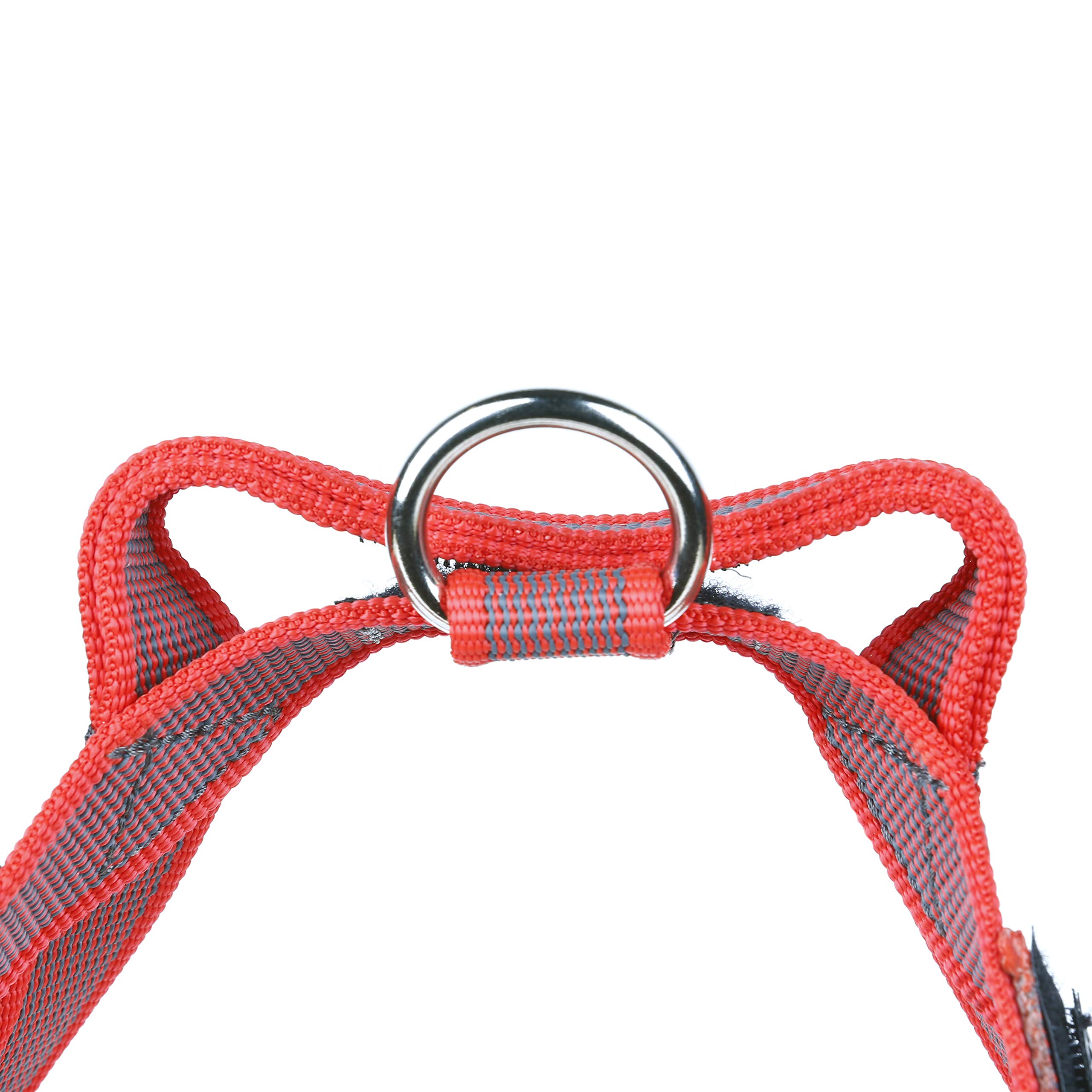julius-k9-idc-color-gray-harnais-mini-rouge-gris image 4
