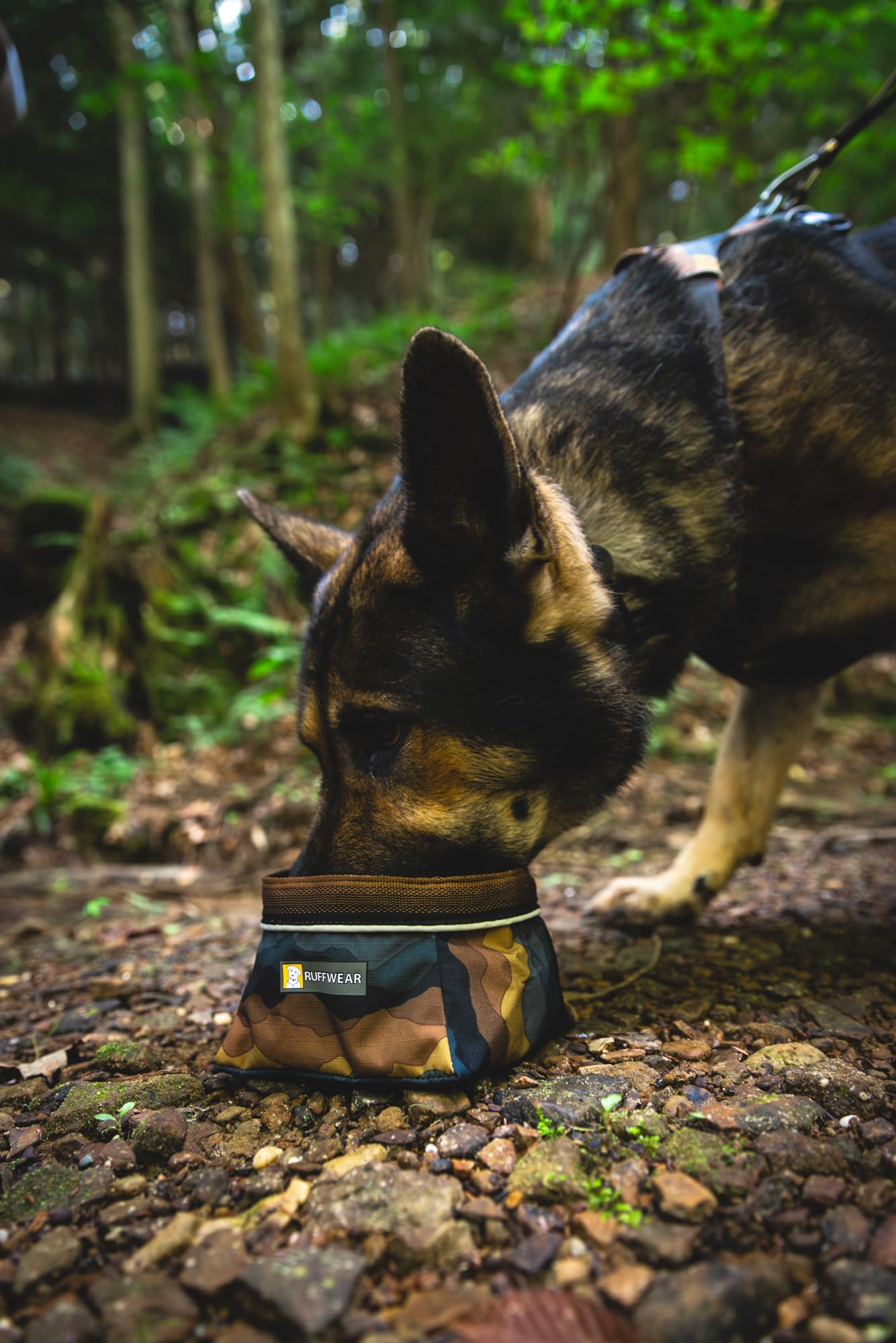 ruffwear-quencher-gamelle-pliable-pour-chien-moonlight-mountains-taille-m image 2