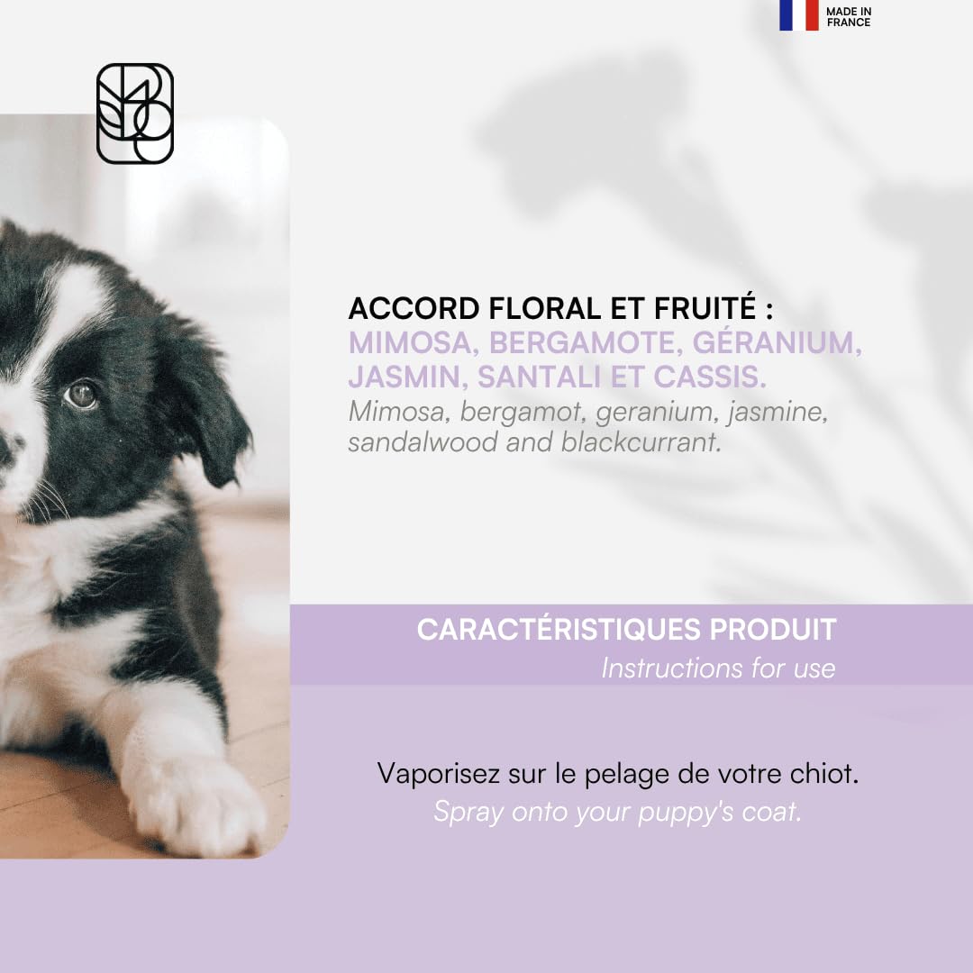 biogance-eau-parfum-e-parisian-vanille-rose-coco-parfum-sans-alcool-chien-et-cha image 4